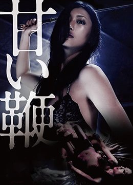 《《甜蜜皮鞭》完整版电影在线观看在线免费播放 😉》2013 海报