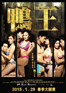 《《鸭王3》粤语全集完整版免费在线观看_电影已完结 🎫》2015 海报
