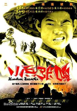 小兵张嘎在线追剧 🪷 (2004) 海报