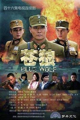 苍狼电视剧全集免费播放高清在线播放 🎮 (2013) 海报