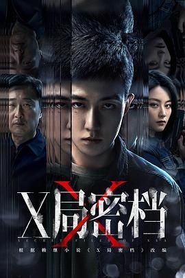 《x局密档电视剧在线观看高清免费版全集全集观看 🍹》2025 海报