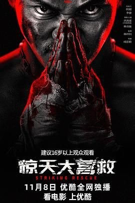 《惊天大营救》正片完整版免费在线观看_中国大陆剧免费观看 🐲 (2024) 海报