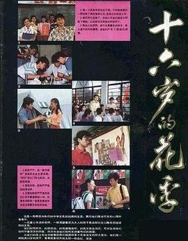 《《十六岁的花季》全集完整版在线观看-电视剧在线追剧 🌱》1990 海报